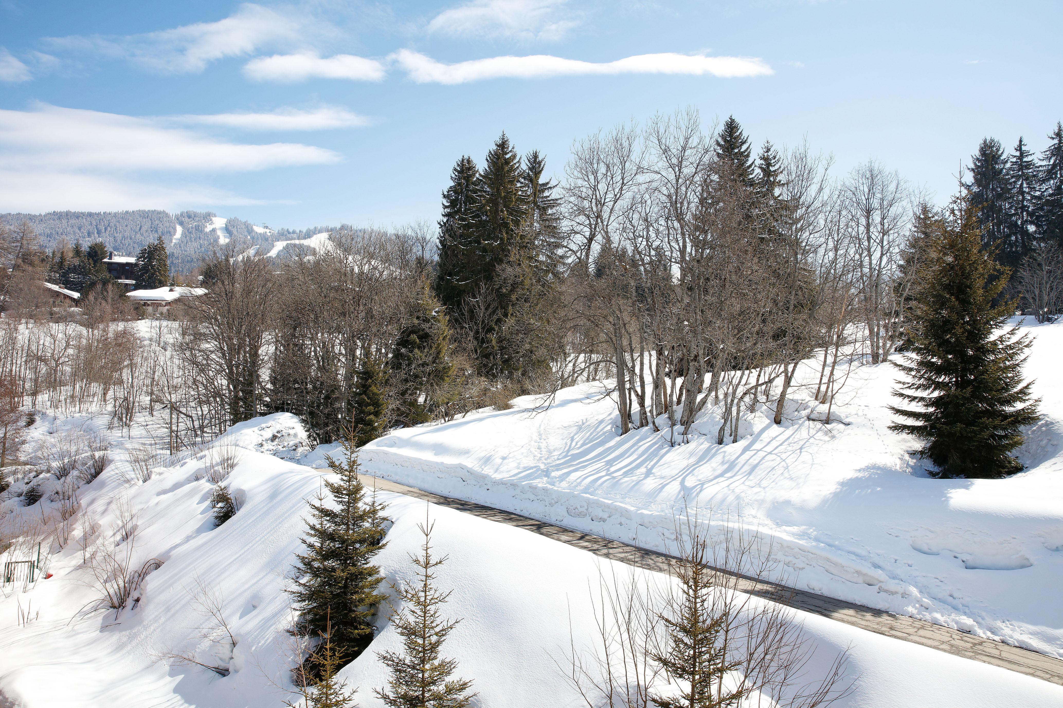 Hotel L'Arboisie Megève Kültér fotó