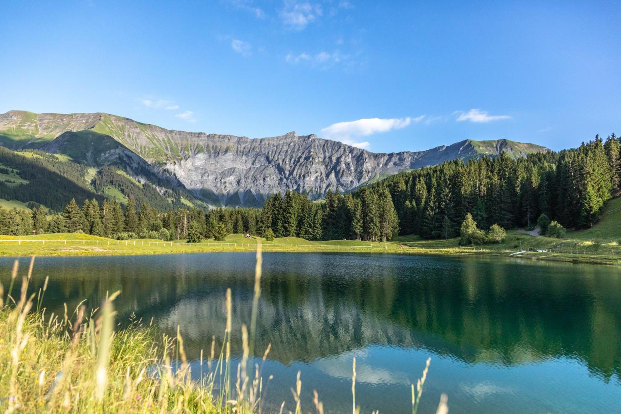 Hotel L'Arboisie Megève Kültér fotó